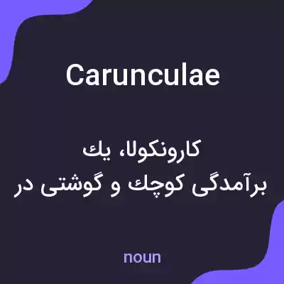 معنی carunculae به فارسی معنی carunculae به فارسی