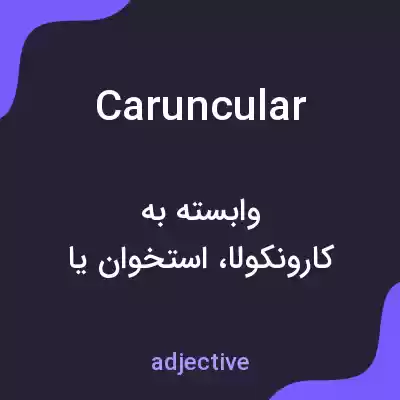 معنی caruncular به فارسی معنی caruncular به فارسی