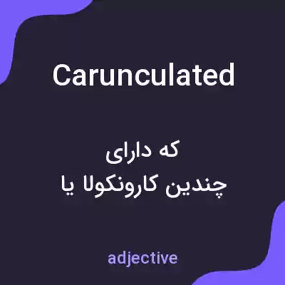 معنی carunculated به فارسی معنی carunculated به فارسی