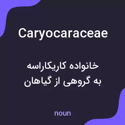 معنی caryocaraceae به فارسی معنی caryocaraceae به فارسی