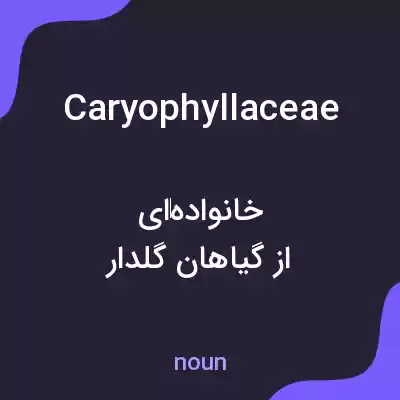 معنی caryophyllaceae به فارسی معنی caryophyllaceae به فارسی