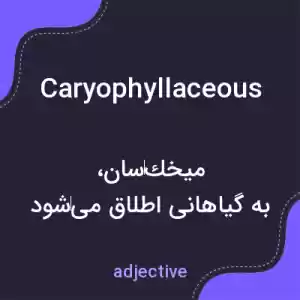 معنی caryophyllaceous به فارسی معنی caryophyllaceous به فارسی
