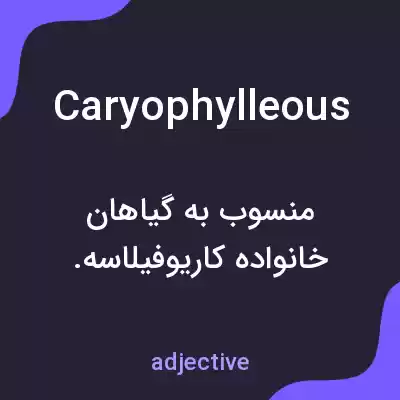 معنی caryophylleous به فارسی معنی caryophylleous به فارسی
