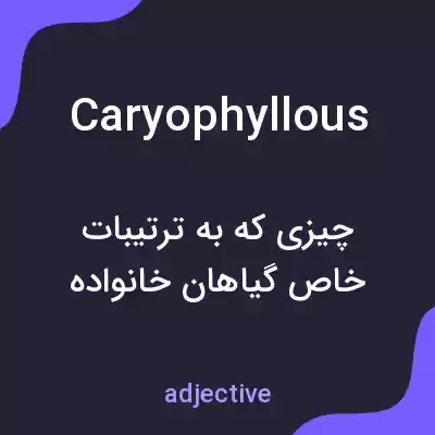 معنی caryophyllous به فارسی معنی caryophyllous به فارسی