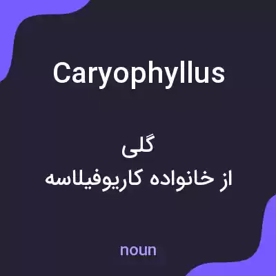 معنی caryophyllus به فارسی معنی caryophyllus به فارسی