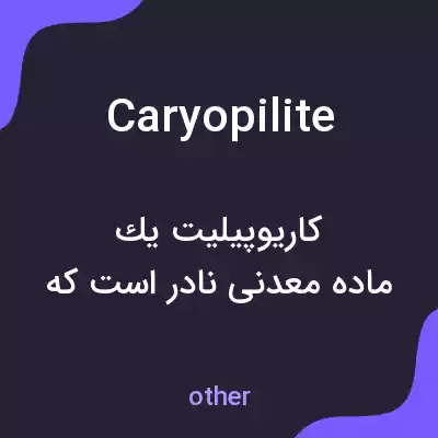 معنی caryopilite به فارسی معنی caryopilite به فارسی