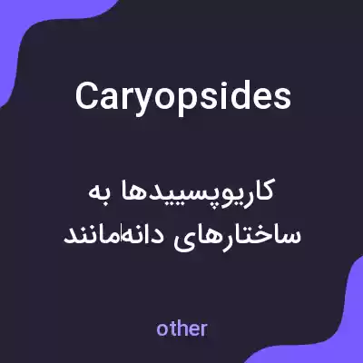 معنی caryopsides به فارسی معنی caryopsides به فارسی