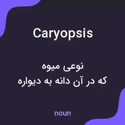 معنی caryopsis به فارسی معنی caryopsis به فارسی
