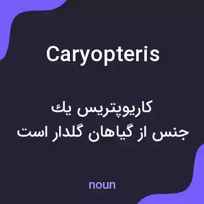 معنی caryopteris به فارسی معنی caryopteris به فارسی
