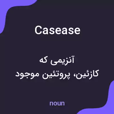 معنی casease به فارسی معنی casease به فارسی