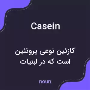 معنی casein به فارسی معنی casein به فارسی