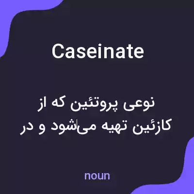 معنی caseinate به فارسی معنی caseinate به فارسی