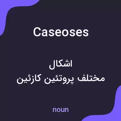 معنی caseoses به فارسی