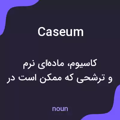 معنی caseum به فارسی معنی caseum به فارسی