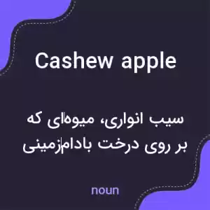معنی cashew apple به فارسی معنی cashew apple به فارسی