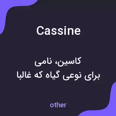 معنی cassine به فارسی معنی cassine به فارسی