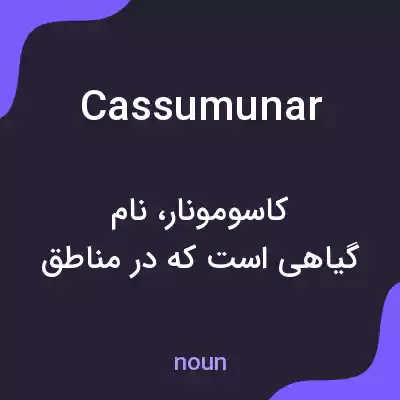 معنی cassumunar به فارسی معنی cassumunar به فارسی
