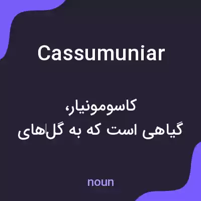معنی cassumuniar به فارسی معنی cassumuniar به فارسی