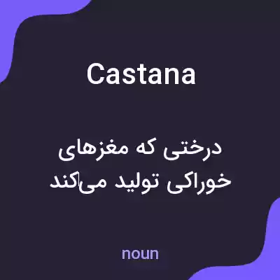معنی castana به فارسی معنی castana به فارسی