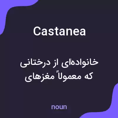 معنی castanea به فارسی