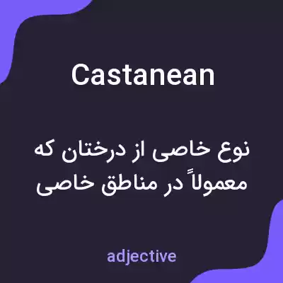 معنی castanean به فارسی معنی castanean به فارسی