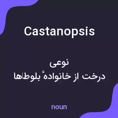 معنی castanopsis به فارسی