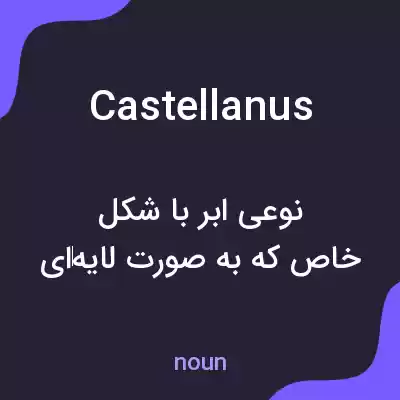 معنی castellanus به فارسی معنی castellanus به فارسی