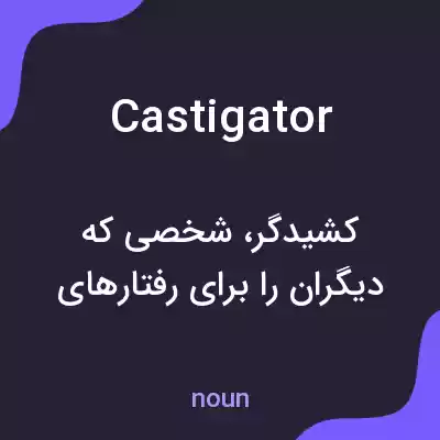 معنی castigator به فارسی