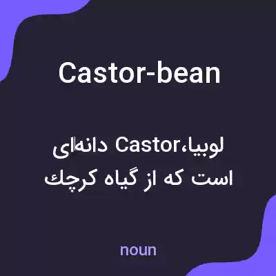 معنی castor-bean به فارسی