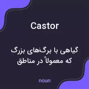 معنی castor به فارسی معنی castor به فارسی