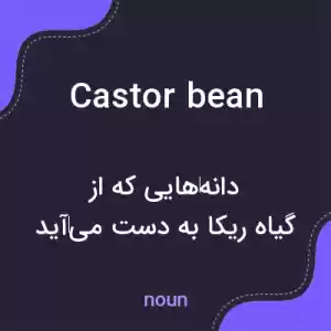 معنی castor bean به فارسی معنی castor bean به فارسی