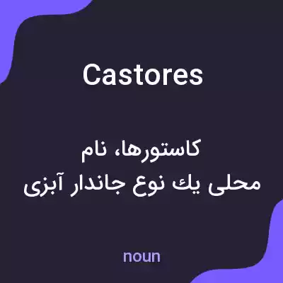 معنی castores به فارسی معنی castores به فارسی