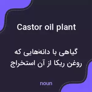 معنی castor oil plant به فارسی معنی castor oil plant به فارسی
