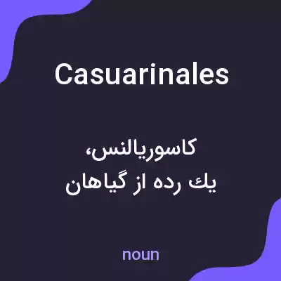 معنی casuarinales به فارسی معنی casuarinales به فارسی