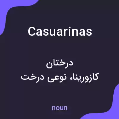 معنی casuarinas به فارسی معنی casuarinas به فارسی