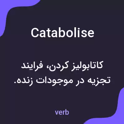معنی catabolise به فارسی معنی catabolise به فارسی