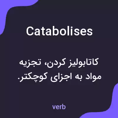 معنی catabolises به فارسی معنی catabolises به فارسی