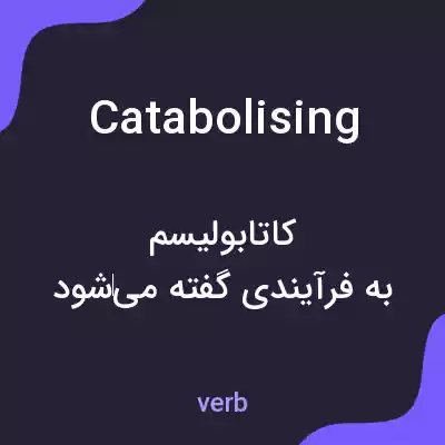 معنی catabolising به فارسی معنی catabolising به فارسی