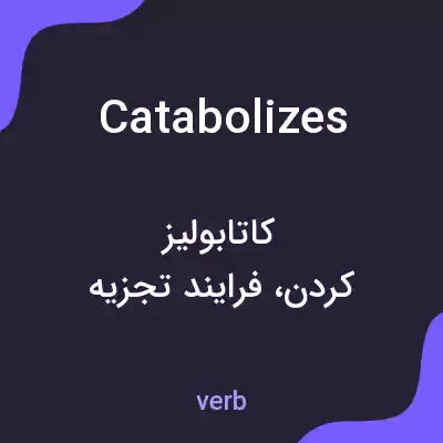 معنی catabolizes به فارسی معنی catabolizes به فارسی