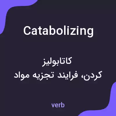 معنی catabolizing به فارسی معنی catabolizing به فارسی