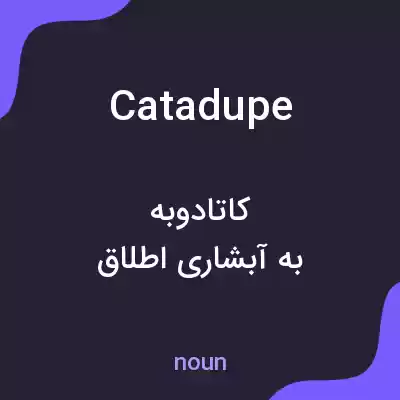 معنی catadupe به فارسی معنی catadupe به فارسی