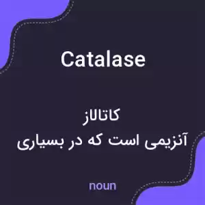 معنی catalase به فارسی معنی catalase به فارسی