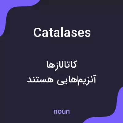 معنی catalases به فارسی