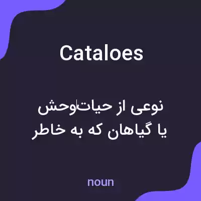 معنی cataloes به فارسی معنی cataloes به فارسی
