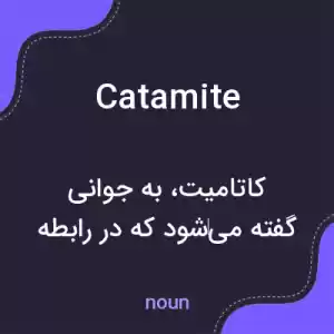 معنی catamite به فارسی معنی catamite به فارسی