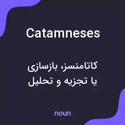 معنی catamneses به فارسی معنی catamneses به فارسی