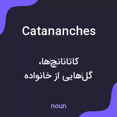 معنی catananches به فارسی معنی catananches به فارسی