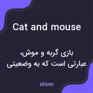 معنی cat and mouse به فارسی معنی cat and mouse به فارسی