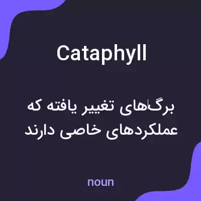 معنی cataphyll به فارسی معنی cataphyll به فارسی