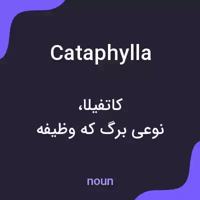 معنی cataphylla به فارسی معنی cataphylla به فارسی